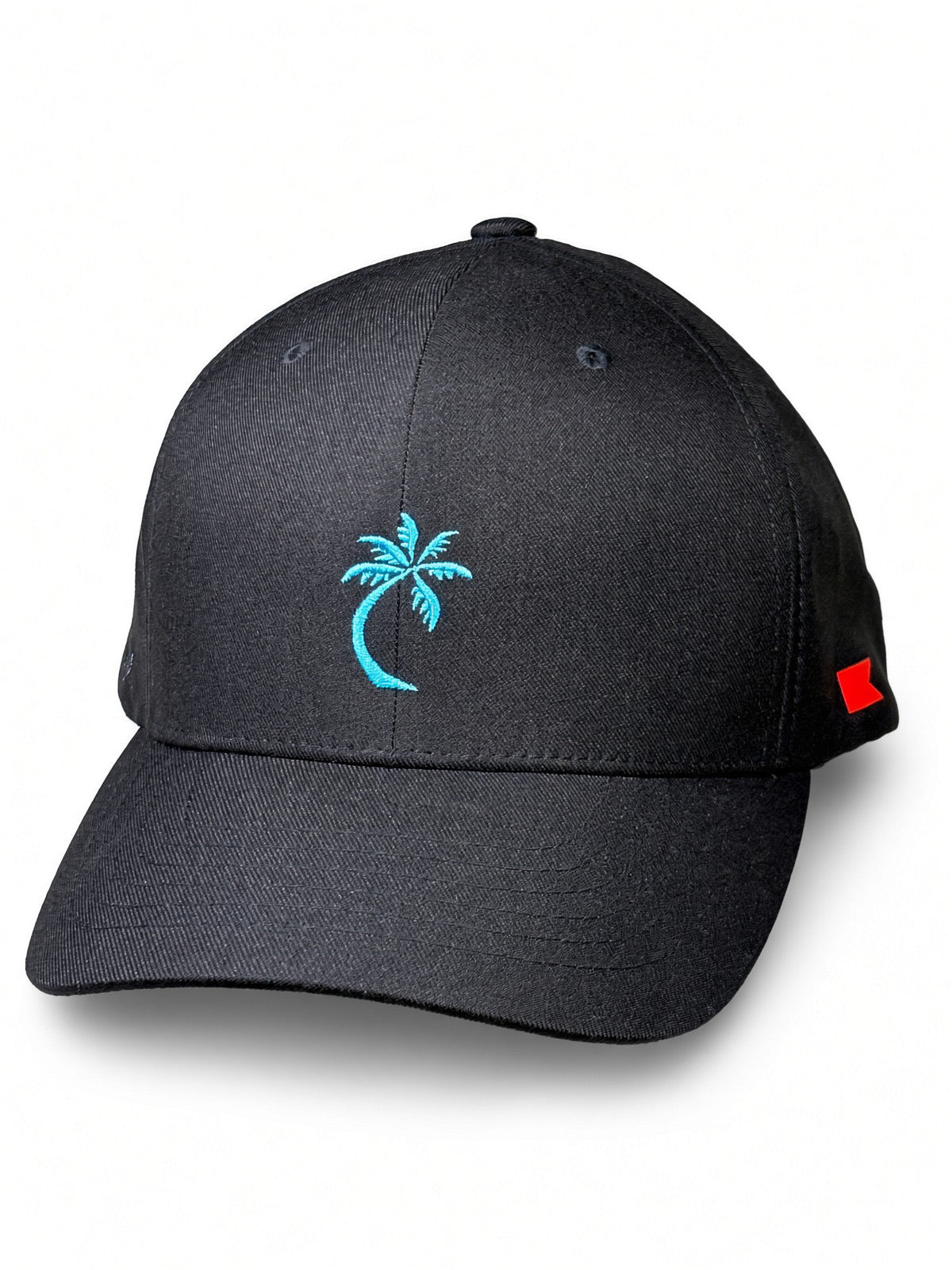 Bravo Cay hat in black with embroidered 1 palm design in teal